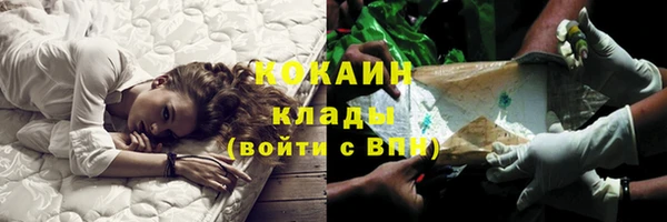 дмт Аркадак