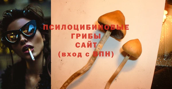 дживик Алексин