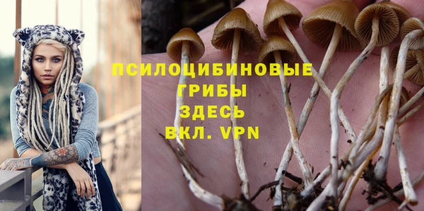 индика Армянск