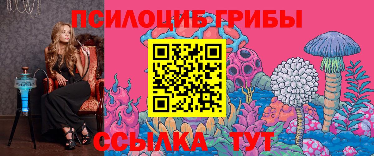 Псилоцибиновые грибы мицелий Киреевск