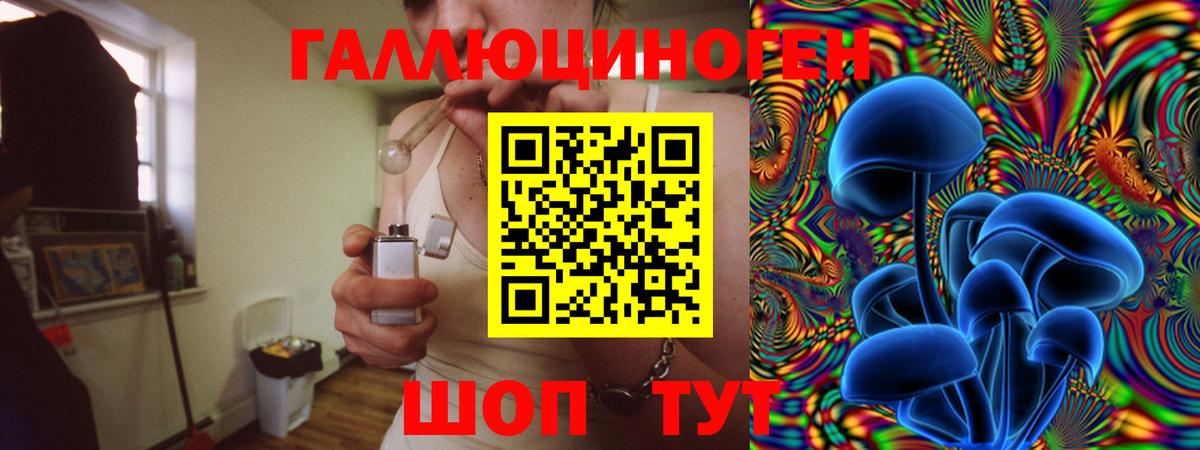 Псилоцибиновые грибы Psilocybe  Вход с VPN  Киреевск 